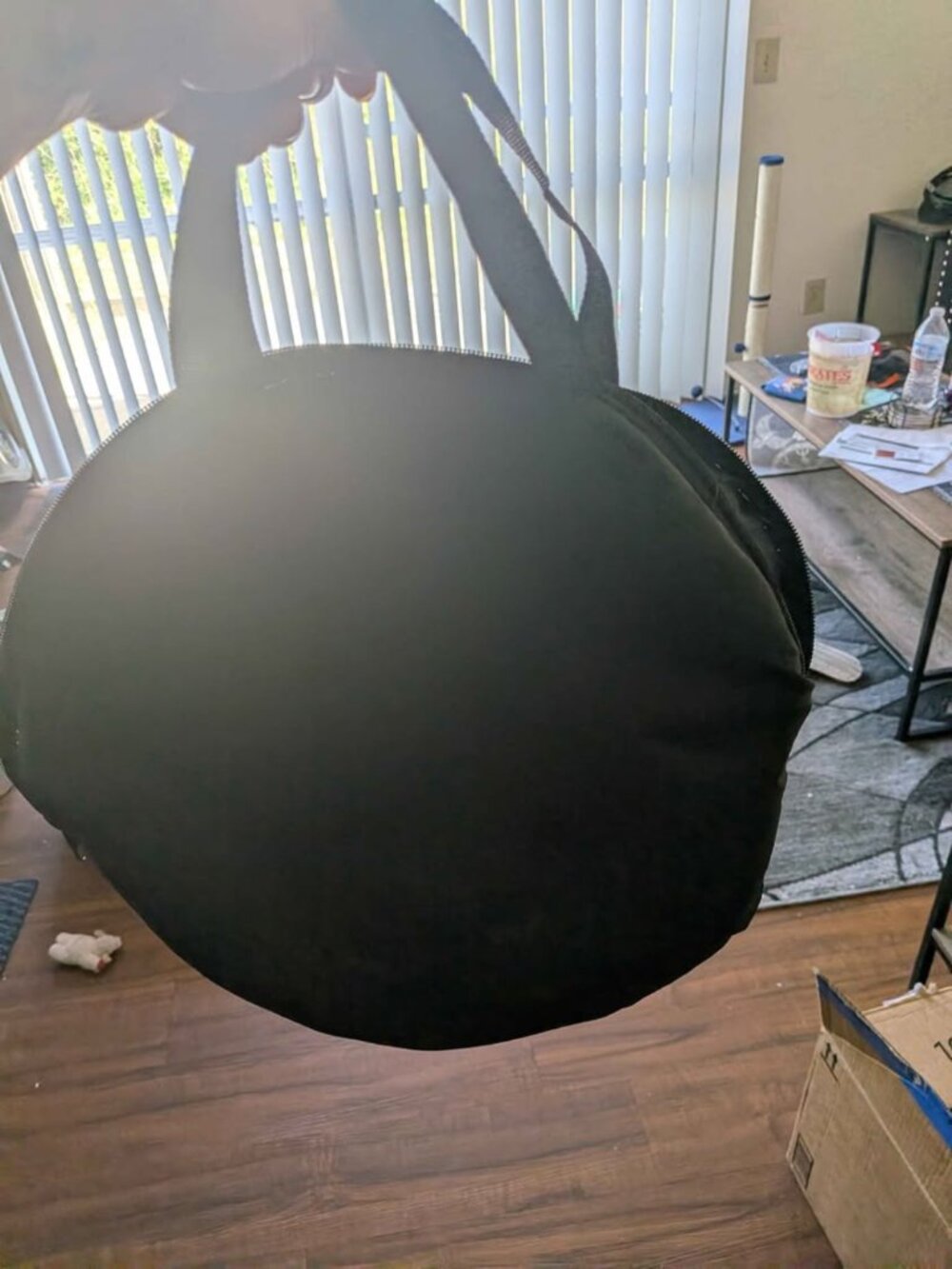 Catio - Picture 5 of 8